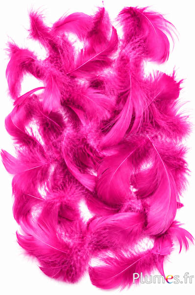 Gans - 4-6 cm - pink